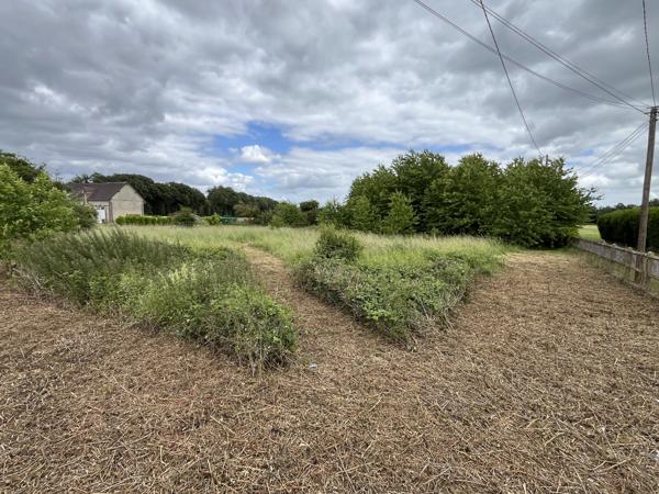 Terrain constructible arboré de 2 896 m² dans un environnement privilégié - La Madeleine de Nonancourt