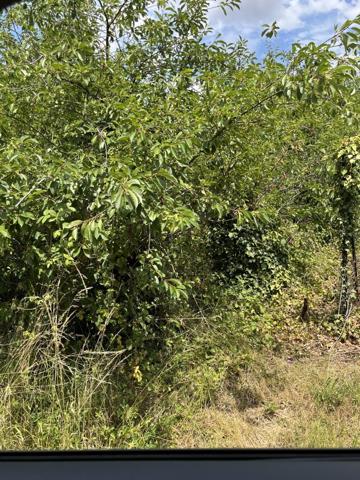 Vente / Terrain de loisirs à Villenauxe-la-Grande (10370)