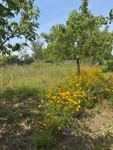 MAISON A VENDRE ROMORANTIN