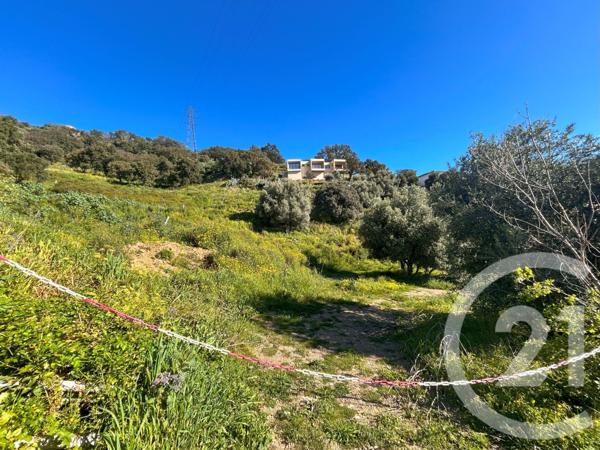 Terrain à vendre  1145 m2 BASTIA - 202