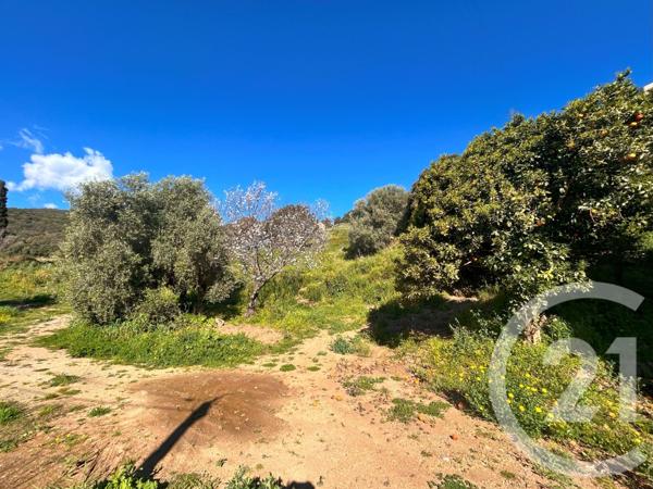 Terrain à vendre  1145 m2 BASTIA - 202