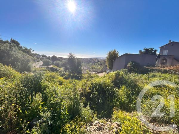 Terrain à vendre  1145 m2 BASTIA - 202