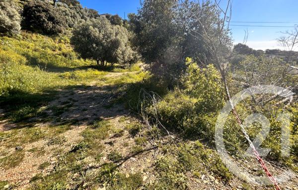 Terrain à vendre  1145 m2 BASTIA - 202