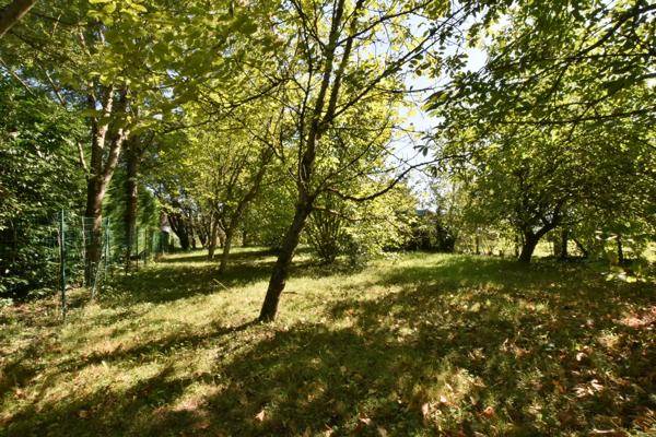 Maison ancienne 4 pièces avec terrain arboré de 1907 m² – secteur Nuits-Saint-Georges