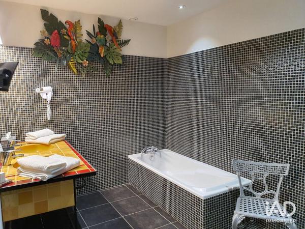 Hôtel 4* à vendre 600 m² Mirepoix