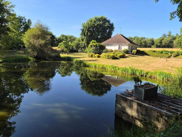 LAVAL MAISON DE 105 M2 HABITABLE A RAFRAICHIR AVEC TERRASSE AVEC VUE SUR UN ETANG ET 7300 M2 DE TERRAIN