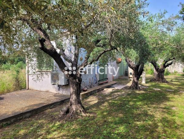 Maison 3 pièces - 120 m² Bien prestige