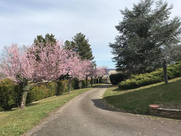 PROPRIETE DE CARACTERE DANS PARC AVEC PISCINE ET VUE PANORAMIQUE
