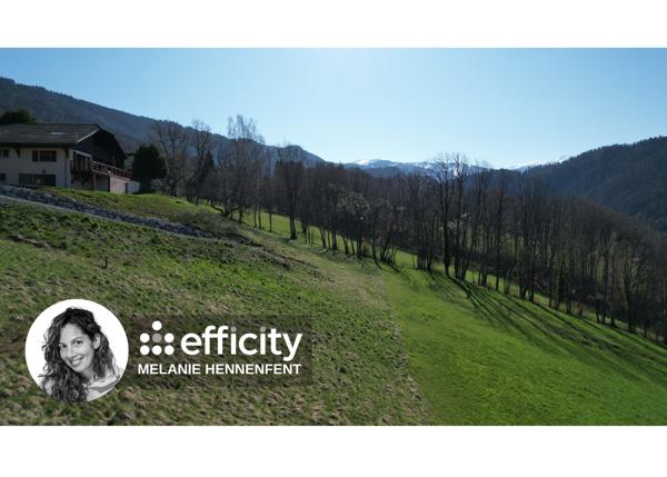 Terrain - 2124 m²