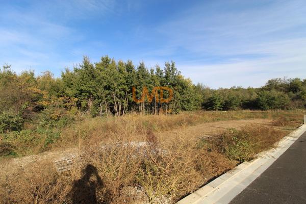 Terrain constructible