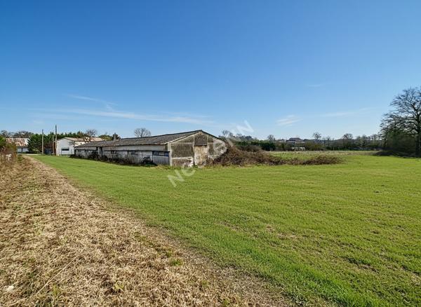 Deux bâtiments agricole à vendre sur Sevremoine commune de la Renaudiére