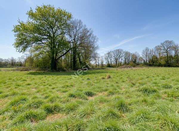 Deux bâtiments agricole à vendre sur Sevremoine commune de la Renaudiére