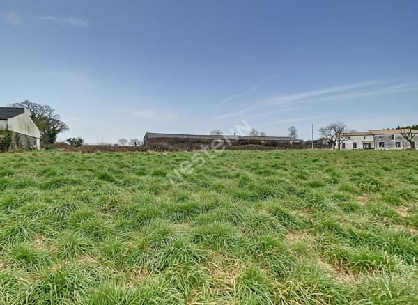 Deux bâtiments agricole à vendre sur Sevremoine commune de la Renaudiére