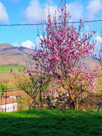Vente / Ensemble de 2 maisons