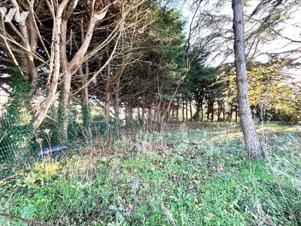 GRAND TERRAIN ZONE UB + MAISON !