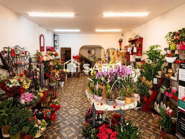 Fonds floral avec Interflora en centre-ville