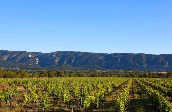 Cabrières-d'Avignon (84220) PROPRIETE 572 M2