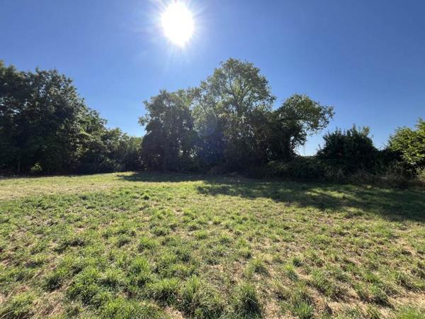 Maison à vendre |  Fontaine-Chalendray |  6 pièces | 113 m²