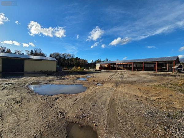 Achat - Immeuble | Local d'activité Eyrein 19800 60641 m 2