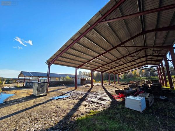 Achat - Immeuble | Local d'activité Eyrein 19800 60641 m 2