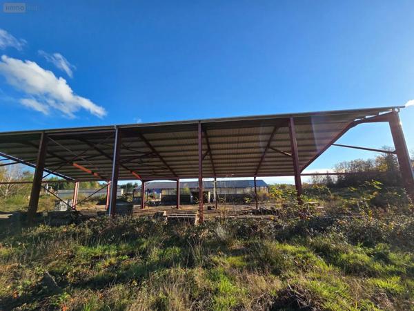 Achat - Immeuble | Local d'activité Eyrein 19800 60641 m 2