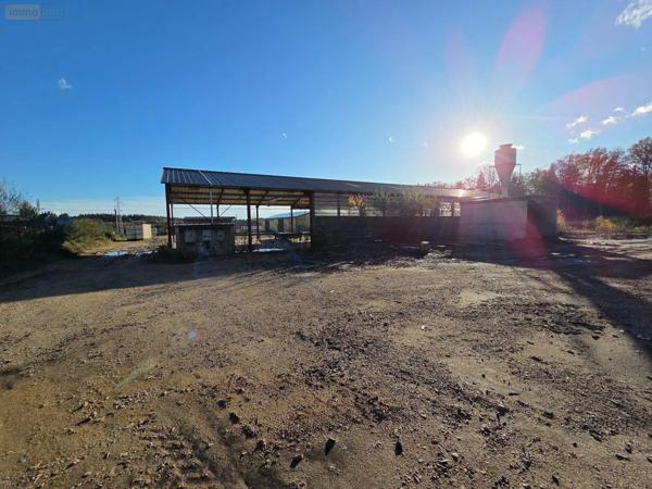 Achat - Immeuble | Local d'activité Eyrein 19800 60641 m 2