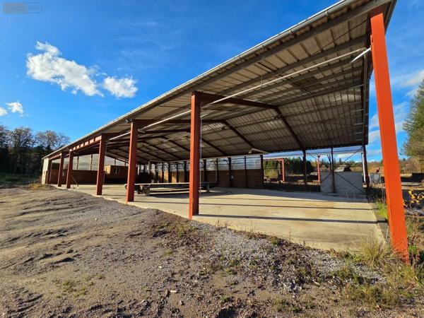 Achat - Immeuble | Local d'activité Eyrein 19800 60641 m 2