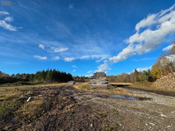 Achat - Immeuble | Local d'activité Eyrein 19800 60641 m 2
