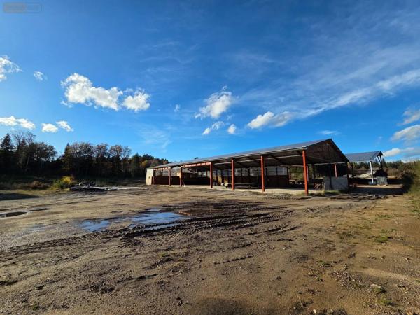 Achat - Immeuble | Local d'activité Eyrein 19800 60641 m 2