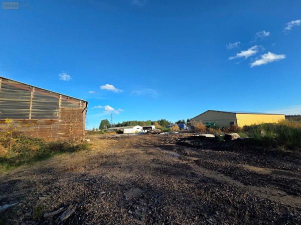 Achat - Immeuble | Local d'activité Eyrein 19800 60641 m 2