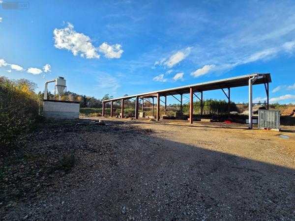 Achat - Immeuble | Local d'activité Eyrein 19800 60641 m 2