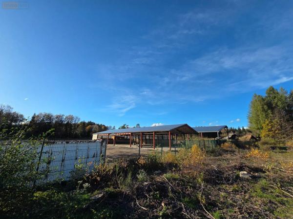 Achat - Immeuble | Local d'activité Eyrein 19800 60641 m 2