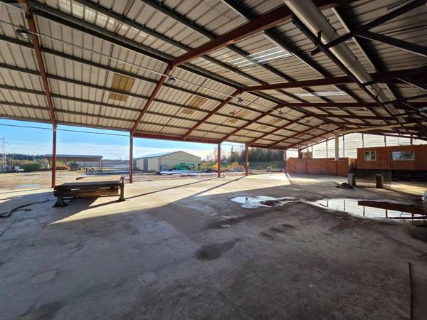 Achat - Immeuble | Local d'activité Eyrein 19800 60641 m 2