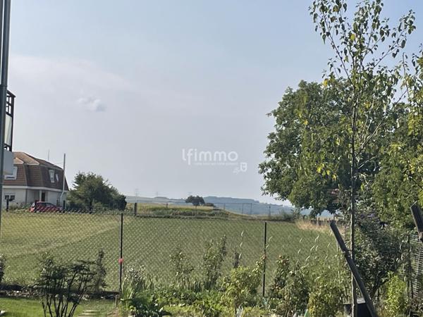 Terrain terre fertile