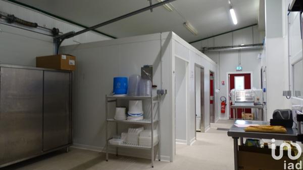 Murs commerciaux  à vendre 500 m² Puylaurens