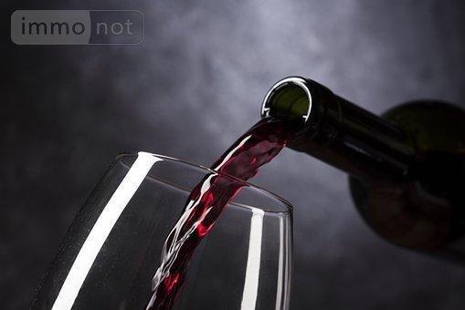 Fonds et/ou murs commerciaux à vendre à Nantes en Loire-Atlantique (44000), ref : 44028-1267