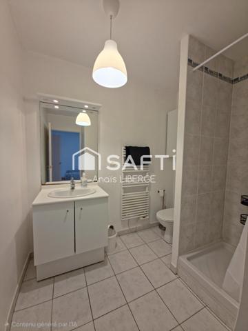 Appartement entièrement rénové quartier Chantenay