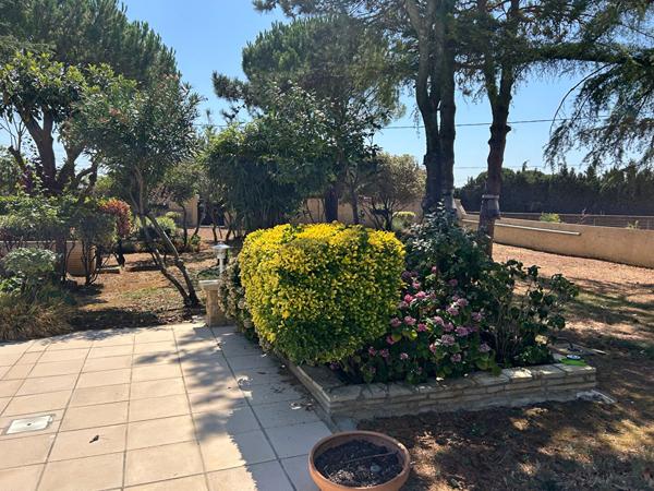 Maison proche CARCASSONNE avec parc arboré et piscine