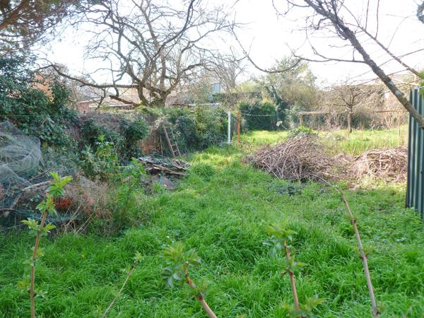 SECTEUR BERTHELOT : ENSEMBLE IMMOBILIER SUR TERRAIN DE 1235 M²