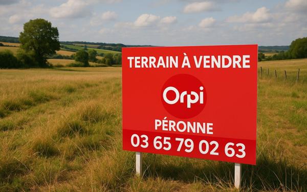 Terrain à vendre    Sailly-Saillisel