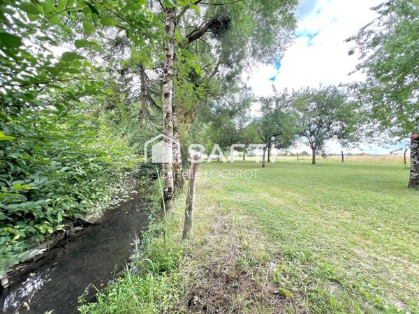Bien rare, entièrement rénové, proche de Gondrecourt-le-Château!