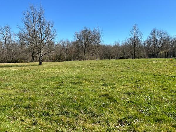 Terrain a batir a vendre Saint Etienne de Tulmont 1300 m2