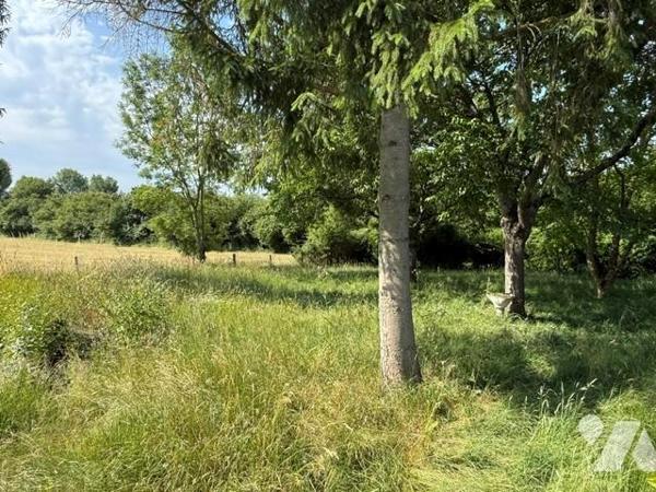 ENTRE LISIEUX ET ORBEC PAVILLON PLAIN-PIED BEAU POTENTIEL BEL ENVIRONNEMENT