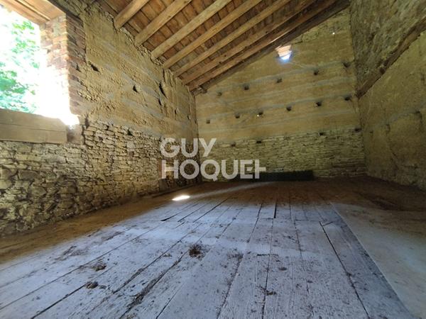 Maison avec dépendances Chagnon