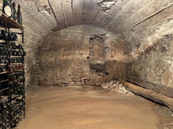 Maison de caractère du XIXe siècle de 170 m² sur une parcelle de 466 m²  BLAINVILLE SUR L'EAU (54)