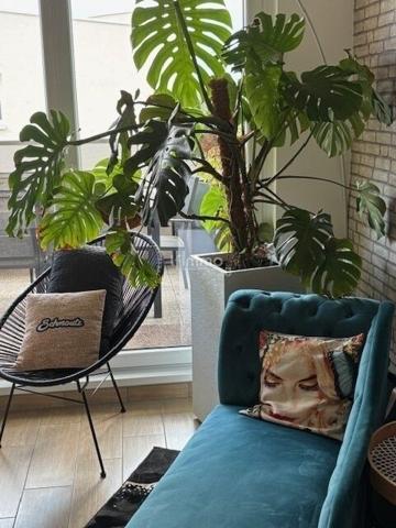 Vous en avez rêvé...nous l avons trouvé pour vous !