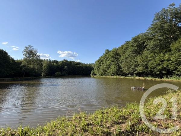Terrain à vendre  19000 m 2   MONTBELIARD  - 25