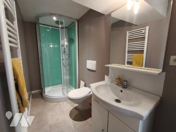 Belle maison entièrement rénovée avec ces dépendance non attenante et terrain constructible