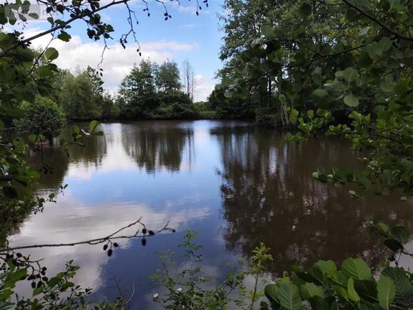 Immeuble à vendre à Hannappes dans les Ardennes (08290), ref : 2024 25   
ARDENNES