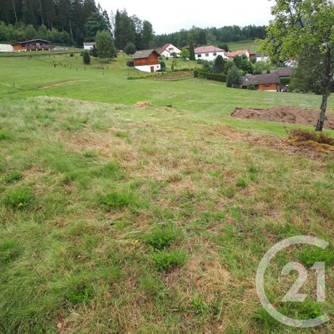 Terrain à vendre  2866 m2 LE THOLY - 88